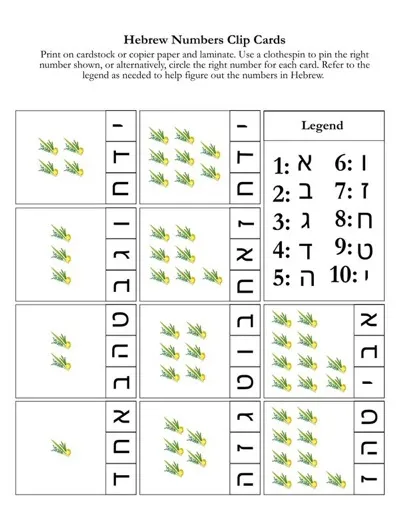 Hebrew number clip cards counting lulavs from one to ten