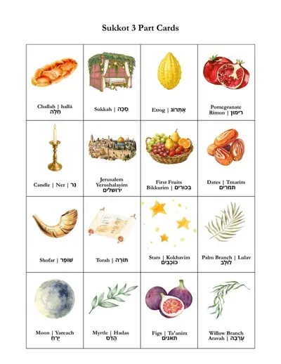 Montessori 3-part cards for Sukkot: sixteen watercolor picture cards labeled in English, transliteration, and Hebrew, including challah, sukkah, etrog, pomegranate, candle, Jerusalem, first fruits, dates, shofar, Torah, stars, palm branch, moon, myrtle, figs, and willow branch